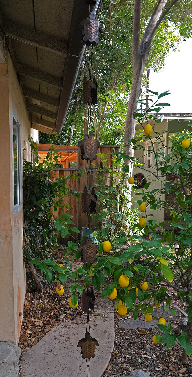 Turtles Steel Rain Chain Nature Series