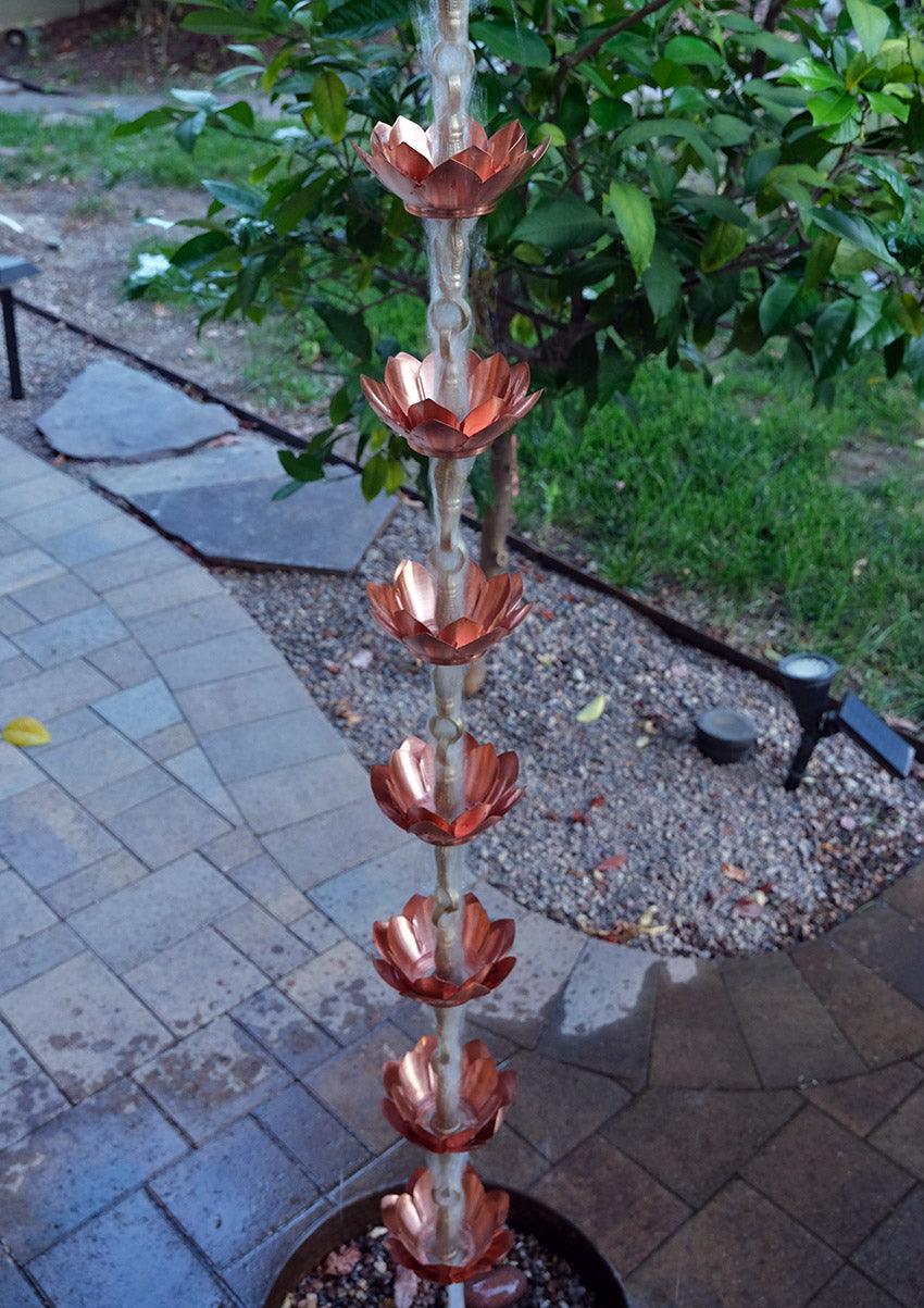 Double Lotus Brass & Copper Cups DL-701