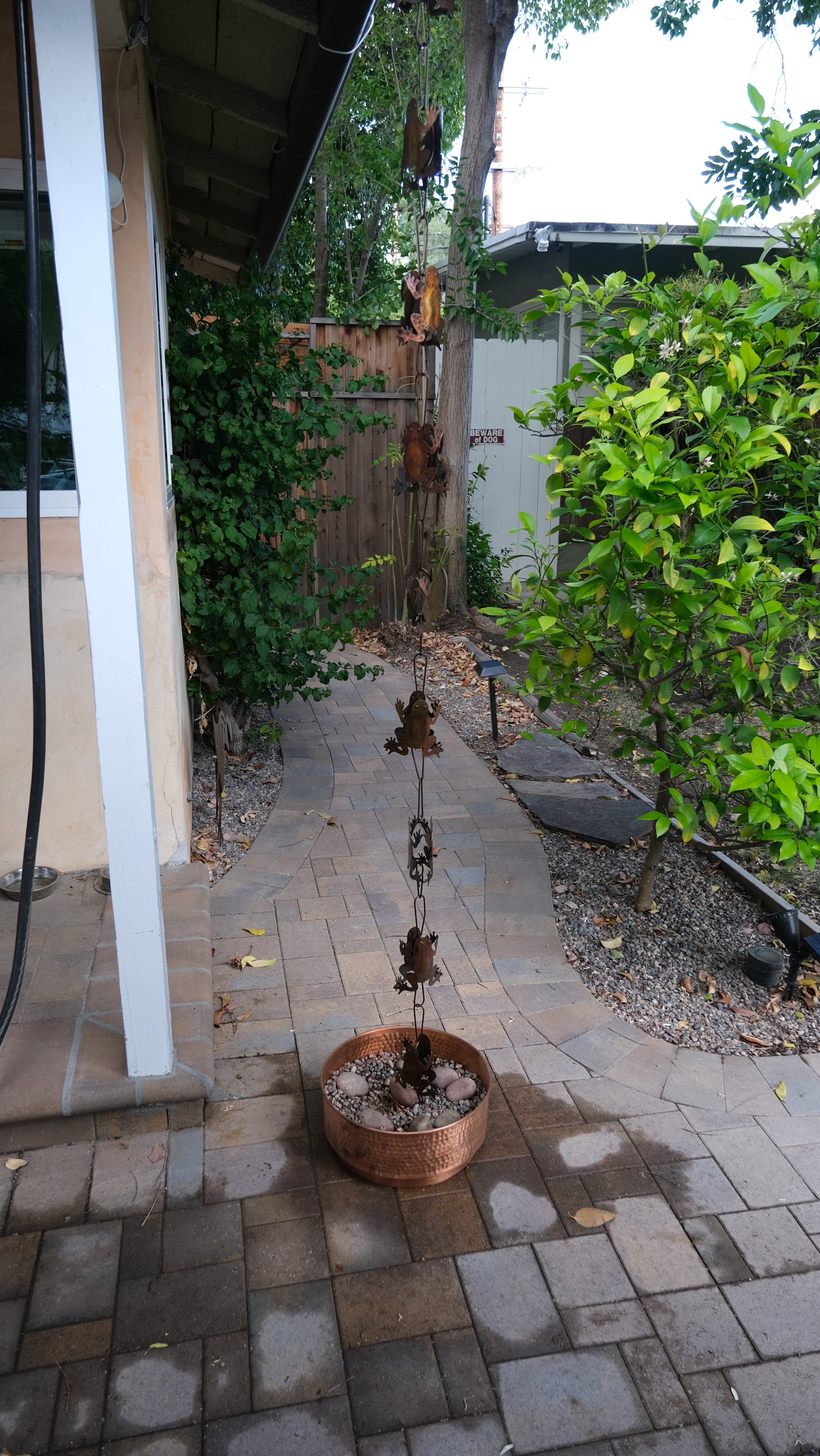 Frogs Steel Rain Chain Nature Series