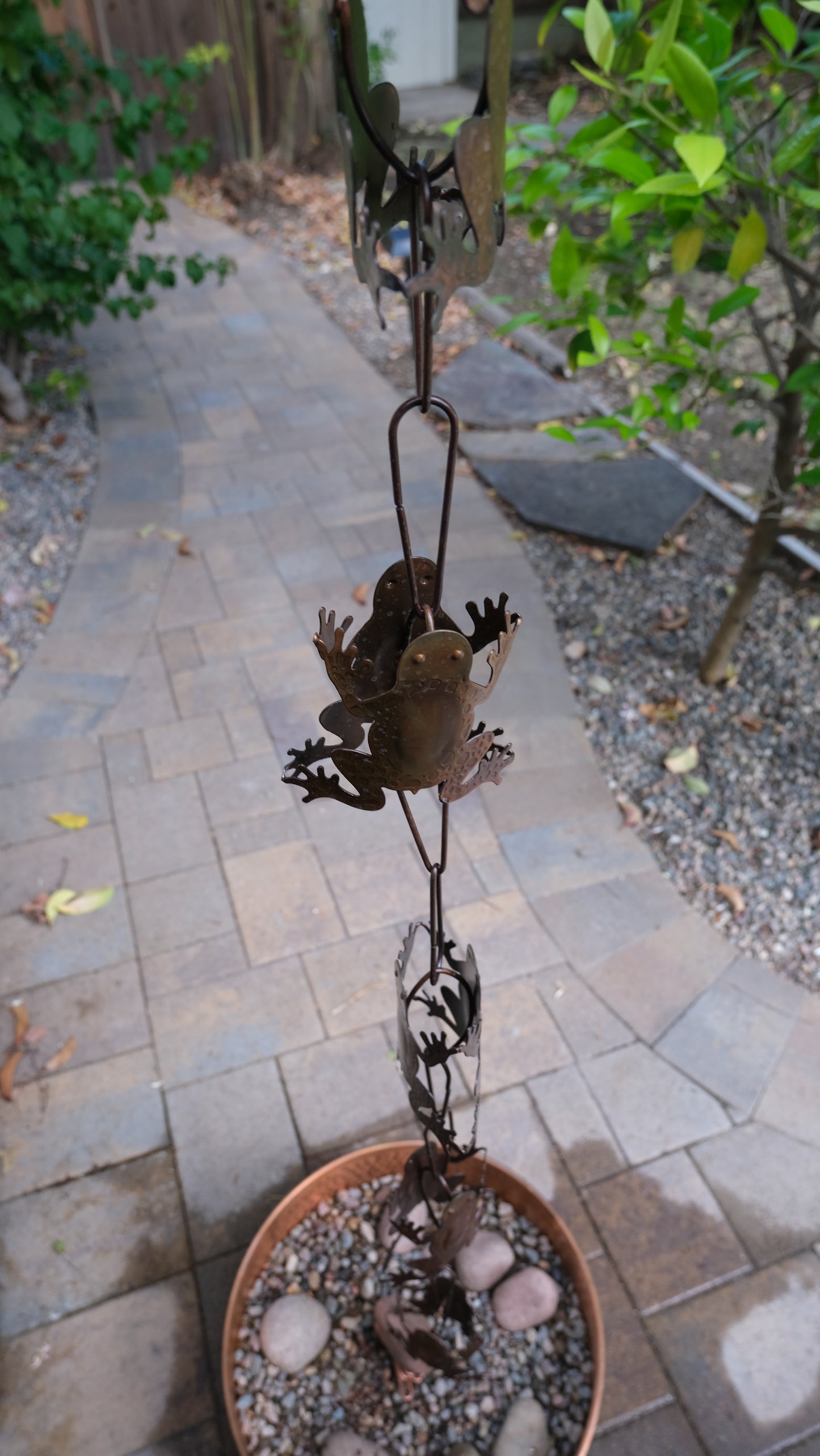 Frogs Steel Rain Chain Nature Series