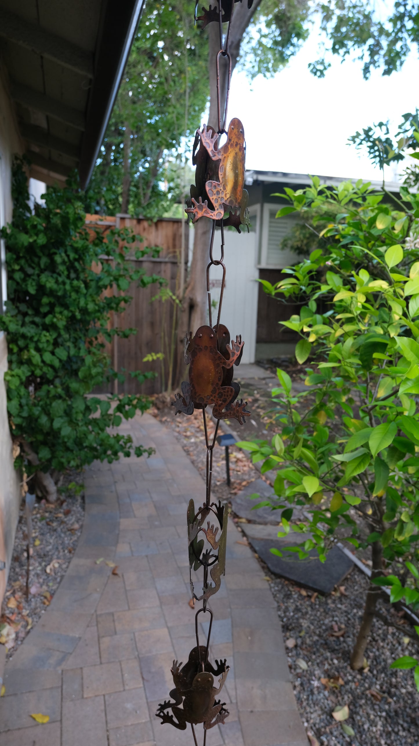 Frogs Steel Rain Chain Nature Series