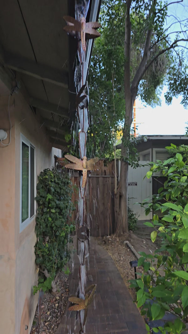 Dragonflies Steel Rain Chain Nature Series 