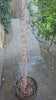 Geo Circles™ Pure Copper Rain Chain SKU 4595-COP 